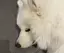 みねのプロフィール画像