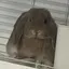 なぎさのプロフィール画像