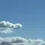 ｺｺのプロフィール画像