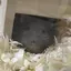 るかのプロフィール画像