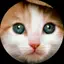 まのプロフィール画像