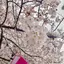 yukiのプロフィール画像