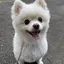 Ayaのプロフィール画像