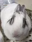 ふゆさんのプロフィール画像