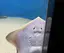 神のプロフィール画像