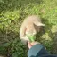 みんみんのプロフィール画像