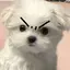 miのプロフィール画像