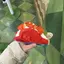 ·͜· ︎︎♪のプロフィール画像
