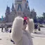 ちぃのプロフィール画像