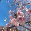 り〜のプロフィール画像