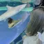 穂乃花のプロフィール画像
