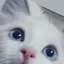 りこのプロフィール画像