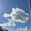 Rのプロフィール画像