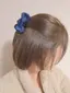 紋加のプロフィール画像