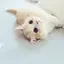 m i y uのプロフィール画像