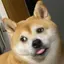 むぎのプロフィール画像