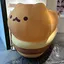 ノコノコのプロフィール画像