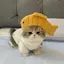 たーたたのプロフィール画像