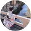 ぬこのプロフィール画像