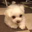 みのプロフィール画像