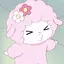 あらんのプロフィール画像