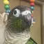 よしおかのプロフィール画像