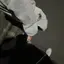 n.のプロフィール画像