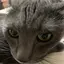 rinaのプロフィール画像