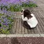 yumiのプロフィール画像