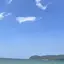 つーのプロフィール画像