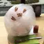 若奈のプロフィール画像