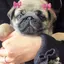 にゃかむのプロフィール画像