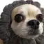 わさびのプロフィール画像