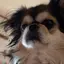 えむのプロフィール画像