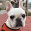 MAYAのプロフィール画像