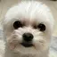 実奈のプロフィール画像