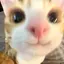 くえのプロフィール画像