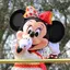 うたんのプロフィール画像