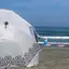 バタフライのプロフィール画像