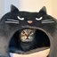 りんごのプロフィール画像
