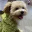 tのプロフィール画像