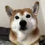 marinaのプロフィール画像