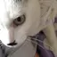 ねこさんのプロフィール画像
