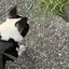 ちゃんのプロフィール画像
