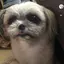 みっちゃんのプロフィール画像