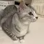 このプロフィール画像