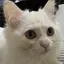 みるくのプロフィール画像