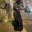 さやみのプロフィール画像