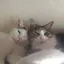 なっちゃんのプロフィール画像