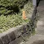 Yrawのプロフィール画像